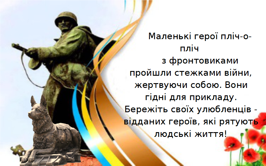 0300s1xs-5215-894x559.png