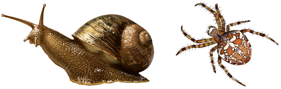 0300s22d-22a5-556x176.png
