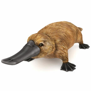 утконос 3D Модель $10 - .fbx .max .obj .3ds - Free3D