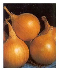 0300s44j-f831-208x243.png