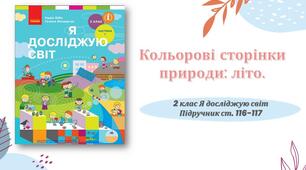 Презентація ЯДС Кольорові сторінки природи: літо.