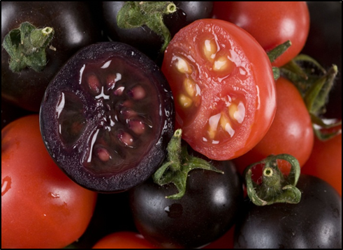 0300s6by-9b66-491x359.png