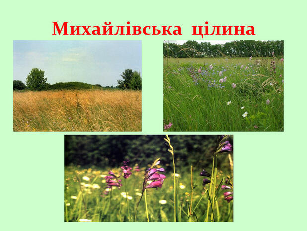 Презентація. Заповідники України