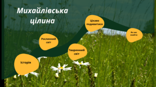 Заняття гуртка "Пізнай свій рідний край". Тема:   Відеоекскурсії. Михайлівська цілина.