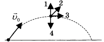0300sc8u-c2ea-362x147.png