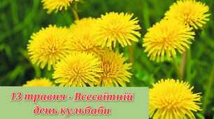 13 ТРАВНЯ - Всесвітній день кульбаби (World Dandelion Day)