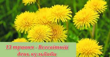 https://fs03.vseosvita.ua/0300sclp-d6a9-378x198.jpg