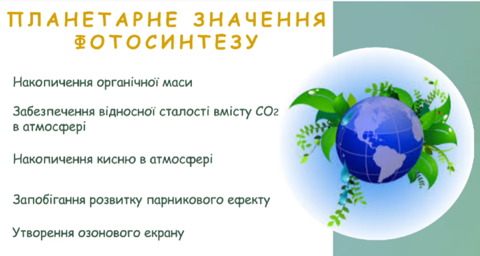 0300scn2-c9f2-700x374.png