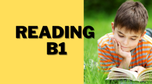 Контроль читання. Reading. B1. How to be a safe and smart searcher 
