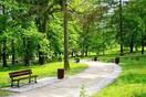Park: картинки, стокові Park фотографії, зображення | Скачати з Depositphotos