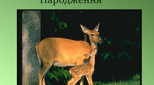 Презентація "Ембріогенез. Постембріональний розвиток"