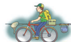 0300sheh-9138-241x144.png
