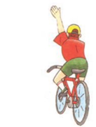 0300shl0-eed1-189x249.png