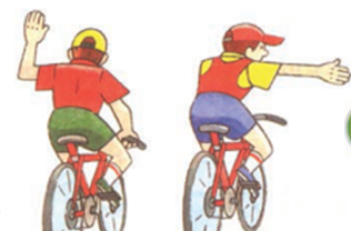 0300shmc-33d8-316x208.png