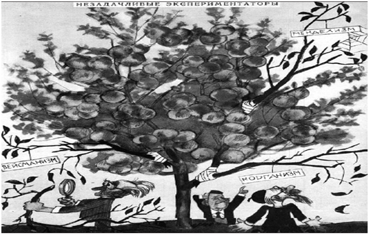 0300siua-e6ed-531x338.png