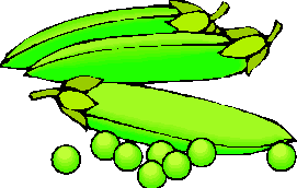0300sj3d-9dd4-271x172.png