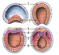 0300sj74-38e3-245x227.png