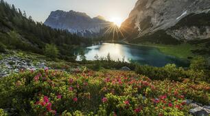 The natural world