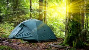 Morning Landscape With Tourist Tent In Forest Stock Photo, Picture And Royalty Free Image. Image 84608971.