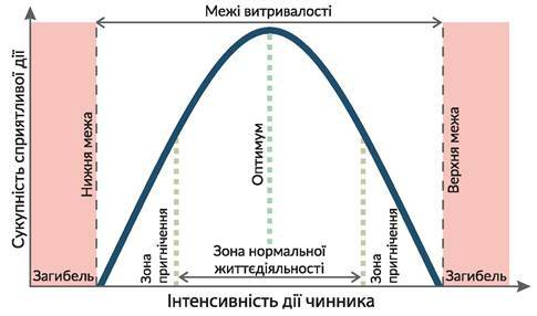 0300soch-0f1e-485x286.jpg
