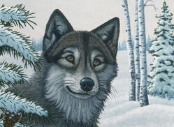 0300soho-1fbe-249x182.jpg
