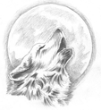 0300solg-c0c7-113x123.png