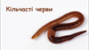 0300sq9b-67c0-100x57.png