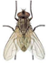 0300sq9m-b1cf-53x69.png