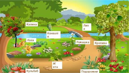0300st0a-a4d9-455x256.jpg