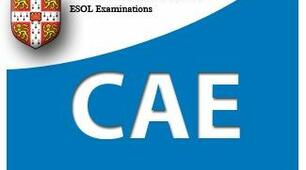 CAE. Vocabulary use. Використання мови у форматі ЗНО