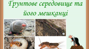 Ґрунтове середовище та його мешканці