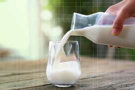 Organic Milk vs. Regular Milk: What's the Difference Between the Two? | EatingWell