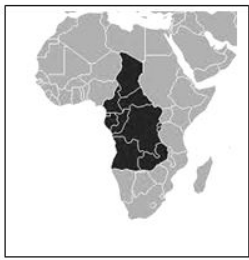 0300sz0x-961c-249x260.png