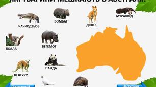 Інтерактивна гра для онлайн занять "Хто мешкає на материку"