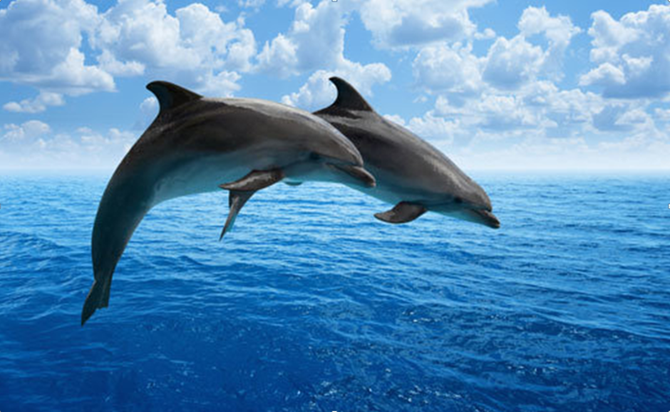 0300t21h-69a0-940x578.png