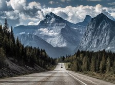 International Mountain Day: How are they under threat and what's at stake | Business Standard News