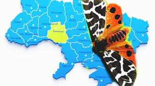 Практична робота  "Складання Червоної книги Вінниччини (тварини)"