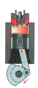 0300tayb-2276-129x292.png