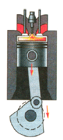 0300taz0-aa9a-125x275.png