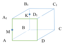 0300tcbp-5080-216x147.png