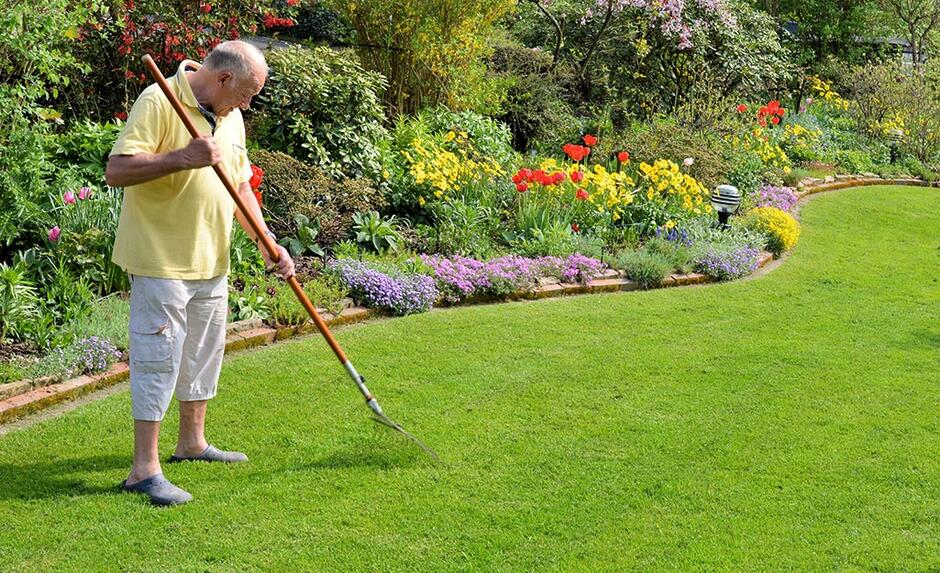 Spring Lawn Care Tips