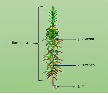 0300tcr9-39ba-418x366.png