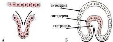 0300tfoy-f903-364x138.jpg
