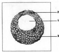 0300tfpg-ec17-240x210.jpg