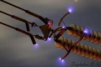 0300tfup-4e01-200x134.jpg