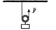 0300thec-55a5-196x105.png
