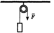 0300thez-9458-177x111.png