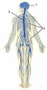 0300thr5-2901-92x176.jpg