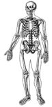 0300tif7-3639-76x156.png