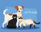 group of dog with cats icons 2613766 Vector Art at Vecteezy